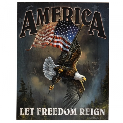 Grande Plaque Métallique USA "Let Freedom Reign"