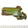 Magnet USA "Massachusetts" GREEN