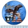 Magnet Aluminium Eagle "Born In The USA"